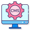 CMS Development